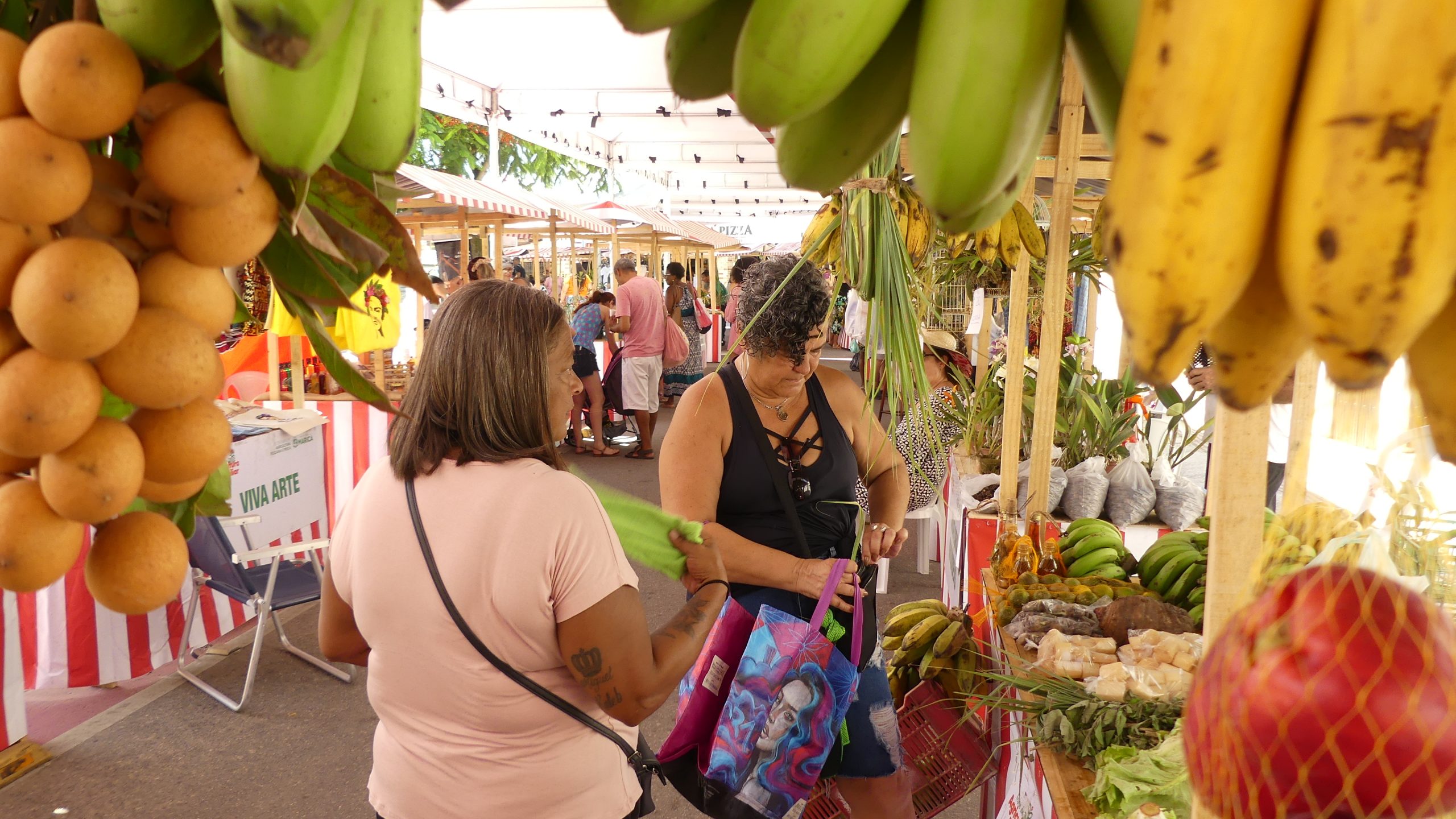 Araçatiba recebe Feira da Agricultura Familiar neste sábado 1 04