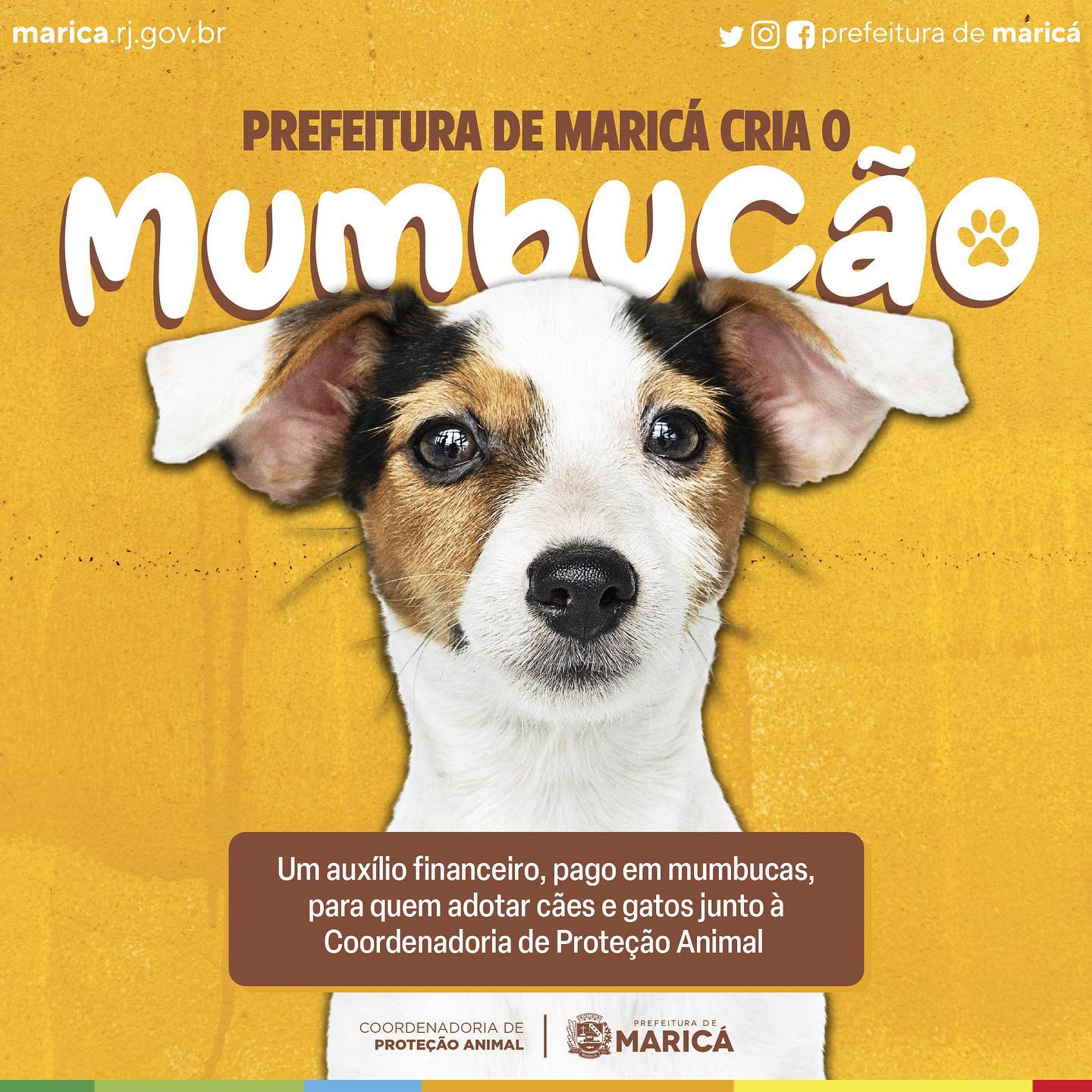 Mumbucão: Conheça o novo programa de apoio a protetores e adotantes de cães  e gatos do município - Prefeitura de Maricá